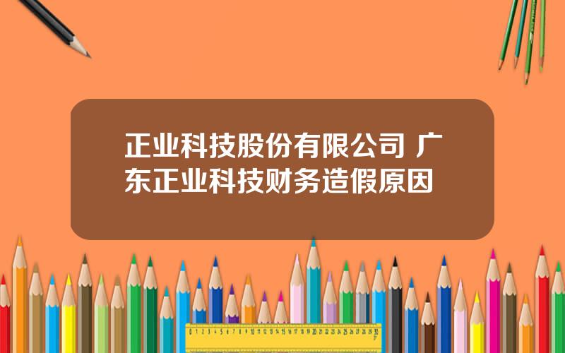 正业科技股份有限公司 广东正业科技财务造假原因